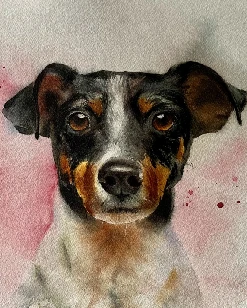 Terrier Hundeportrait
