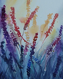 Lavendel im Sonnenuntergang