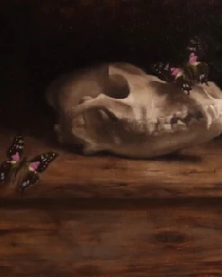 Stillleben Wolfschädel mit Schmetterlingen
