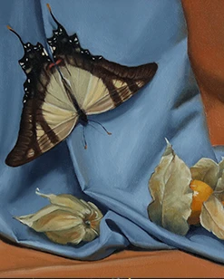 Stillleben Schmetterling und Physalis