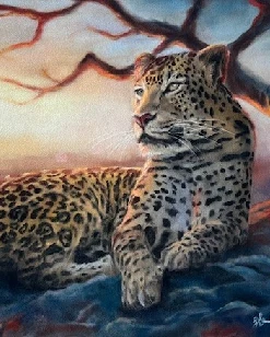 Leopard im Sonnenuntergang